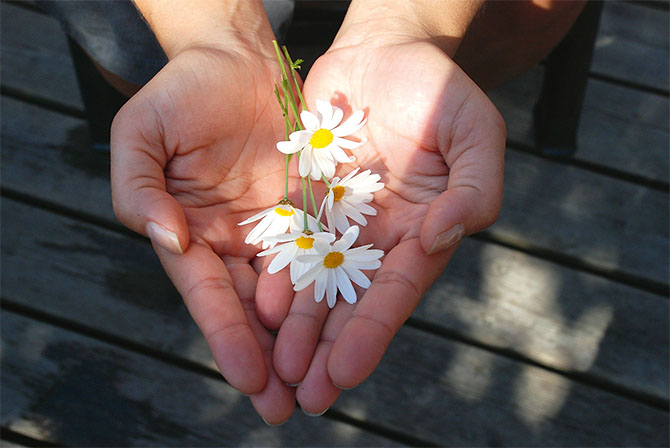 Gefaltete Hände mit Blumen