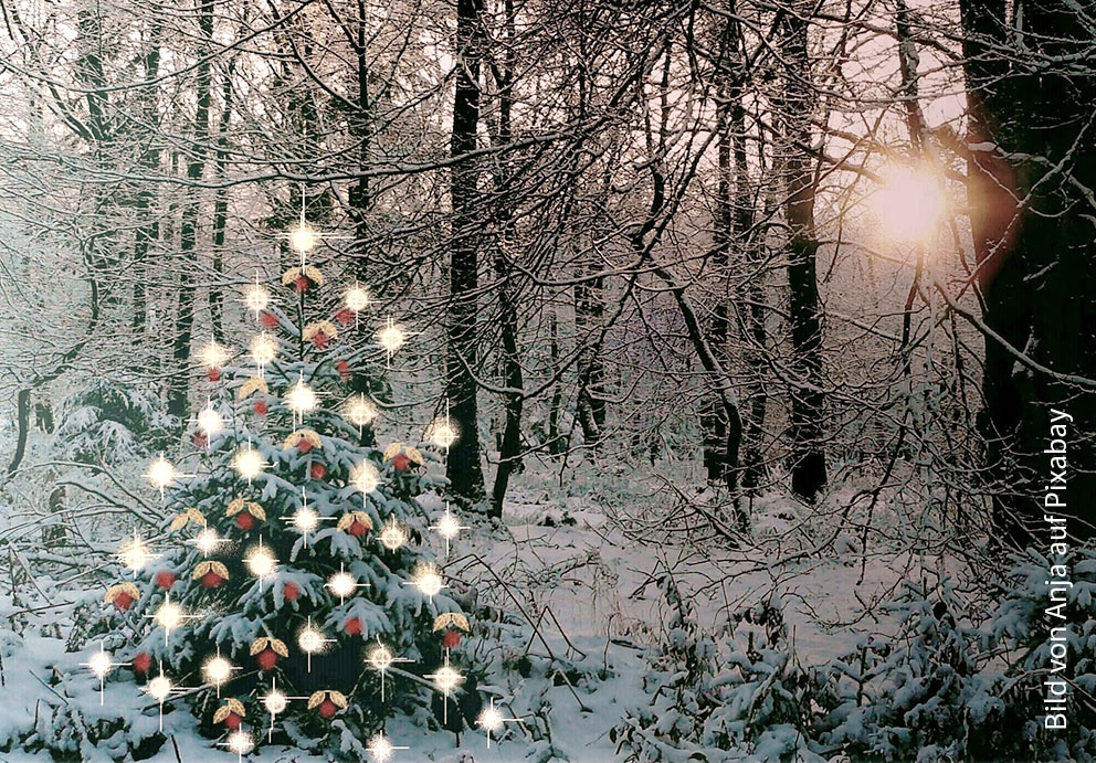 Unsere Kirche bei nacht